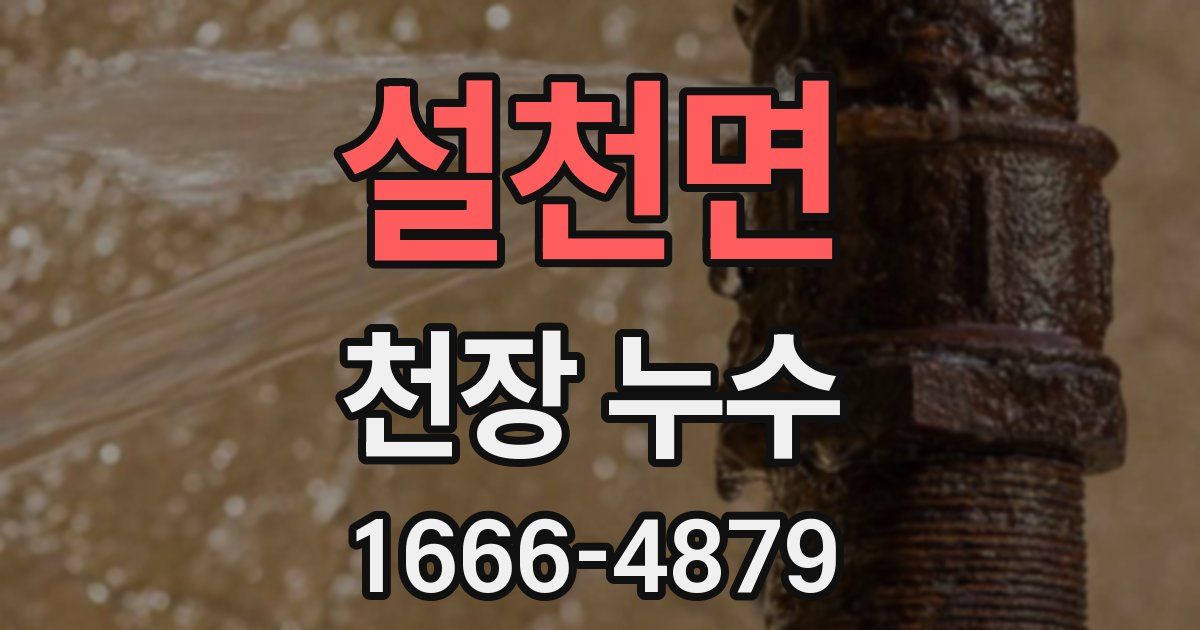 설천면 천장 누수