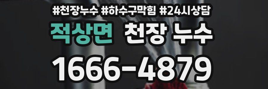 적상면 천장 누수