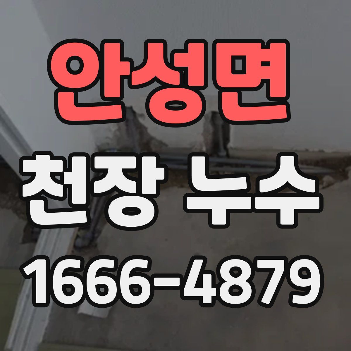 안성면 천장 누수