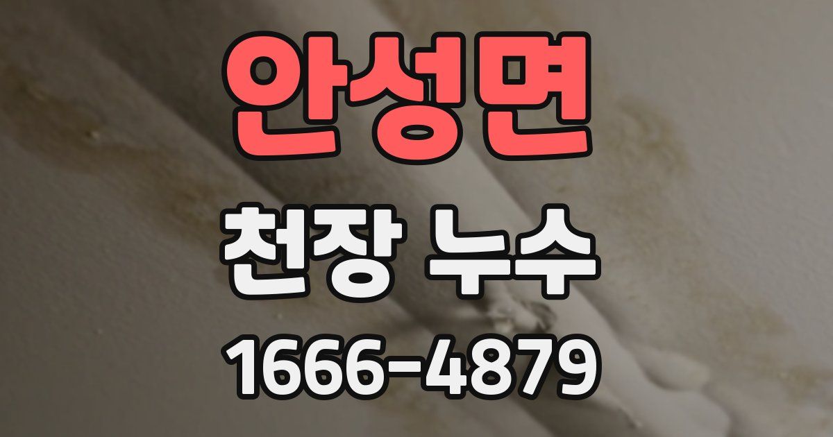 안성면 천장 누수
