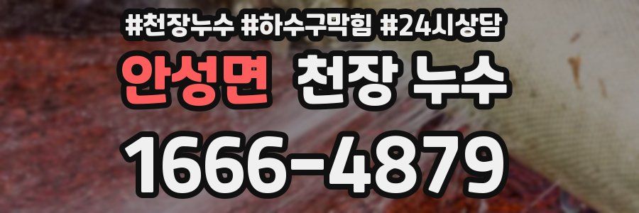 안성면 천장 누수