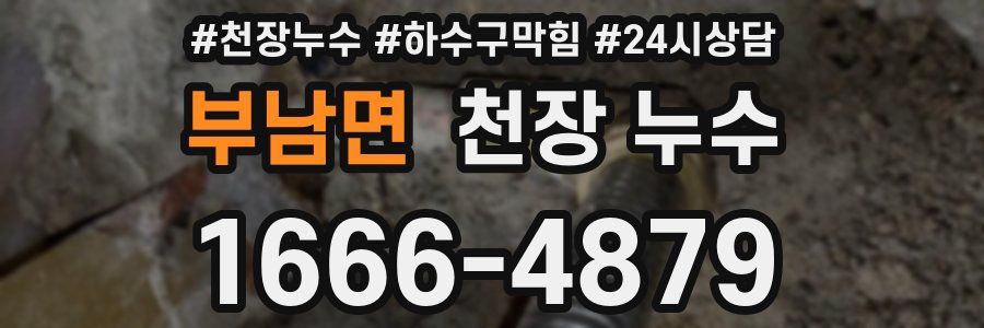 부남면 천장 누수