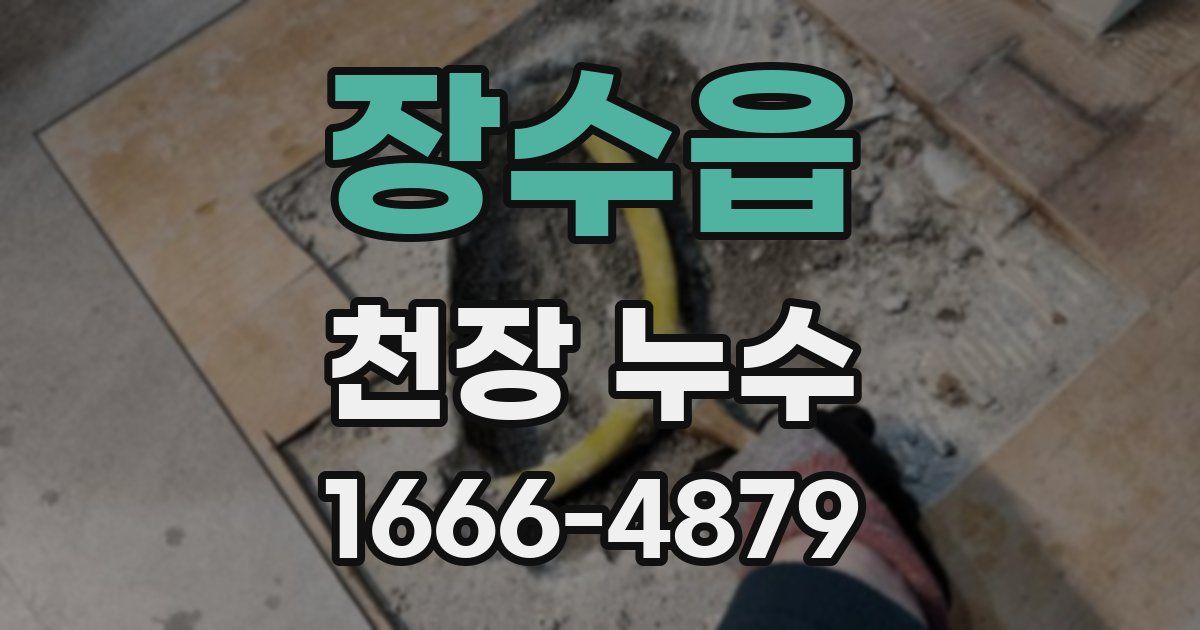 장수읍 천장 누수