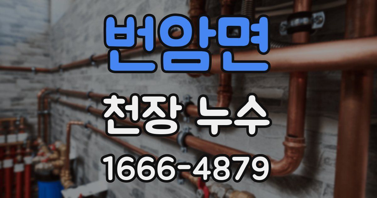 번암면 천장 누수