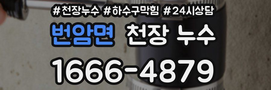 번암면 천장 누수