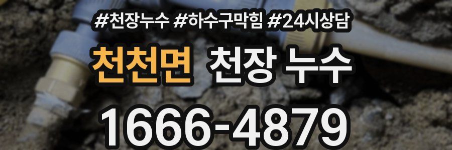 천천면 천장 누수