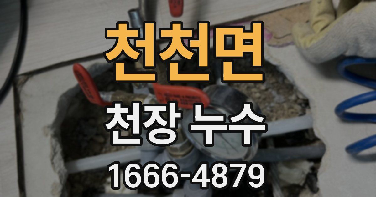 천천면 천장 누수