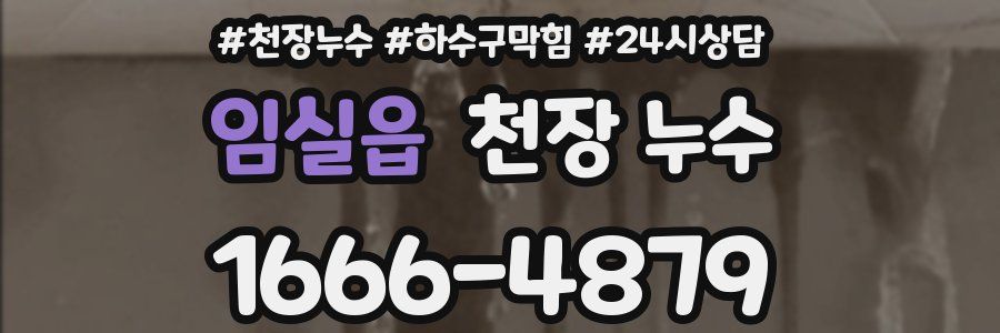 임실읍 천장 누수