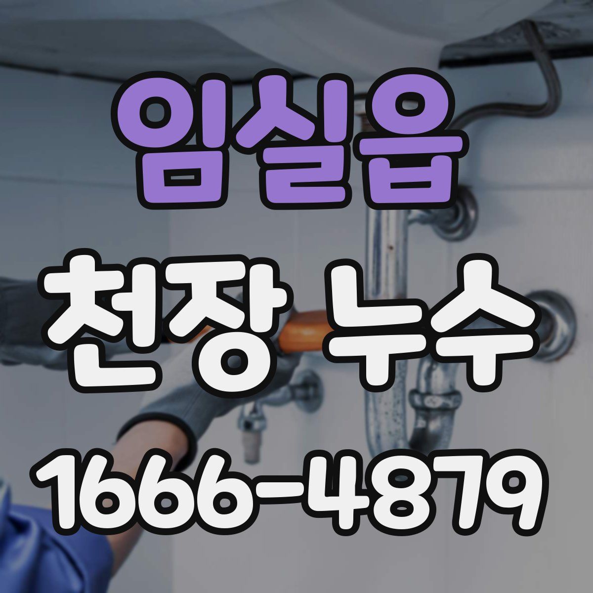 임실읍 천장 누수