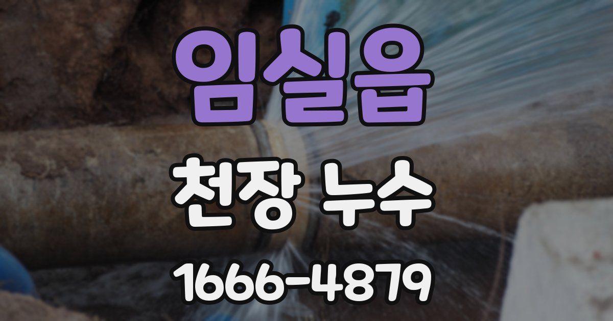 임실읍 천장 누수