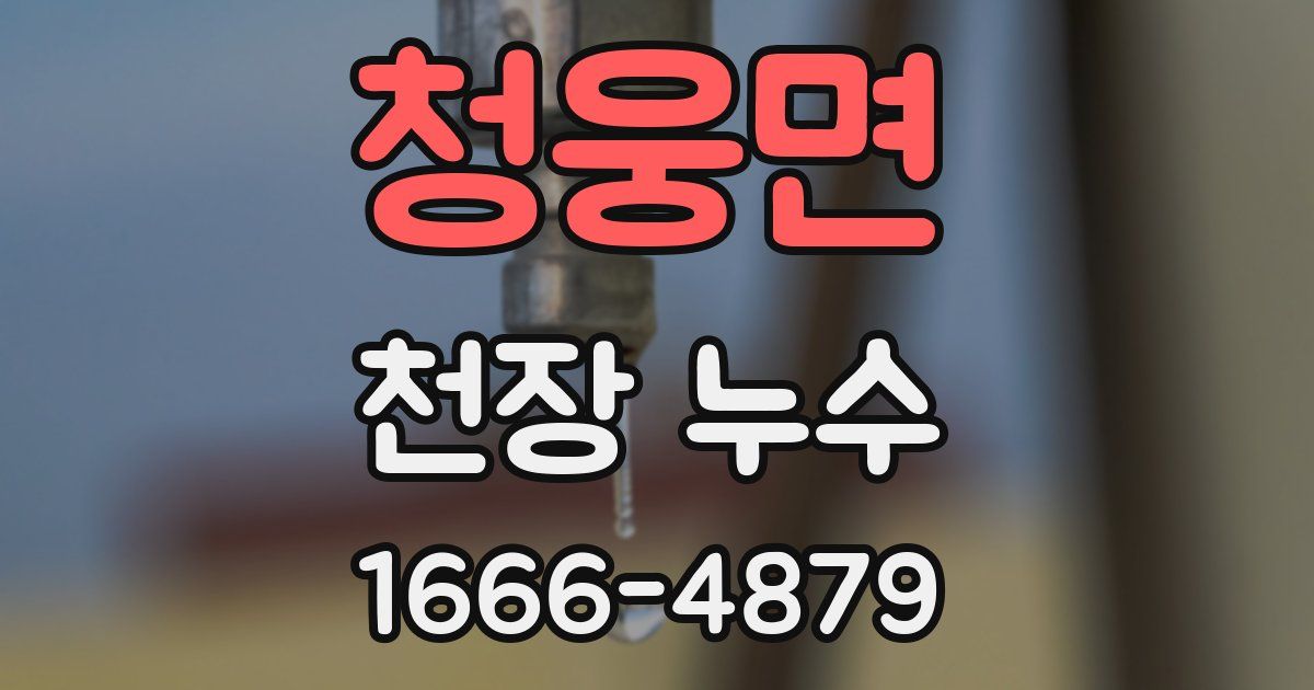 청웅면 천장 누수