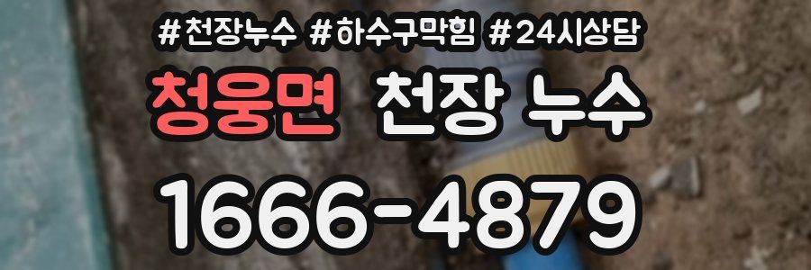 청웅면 천장 누수