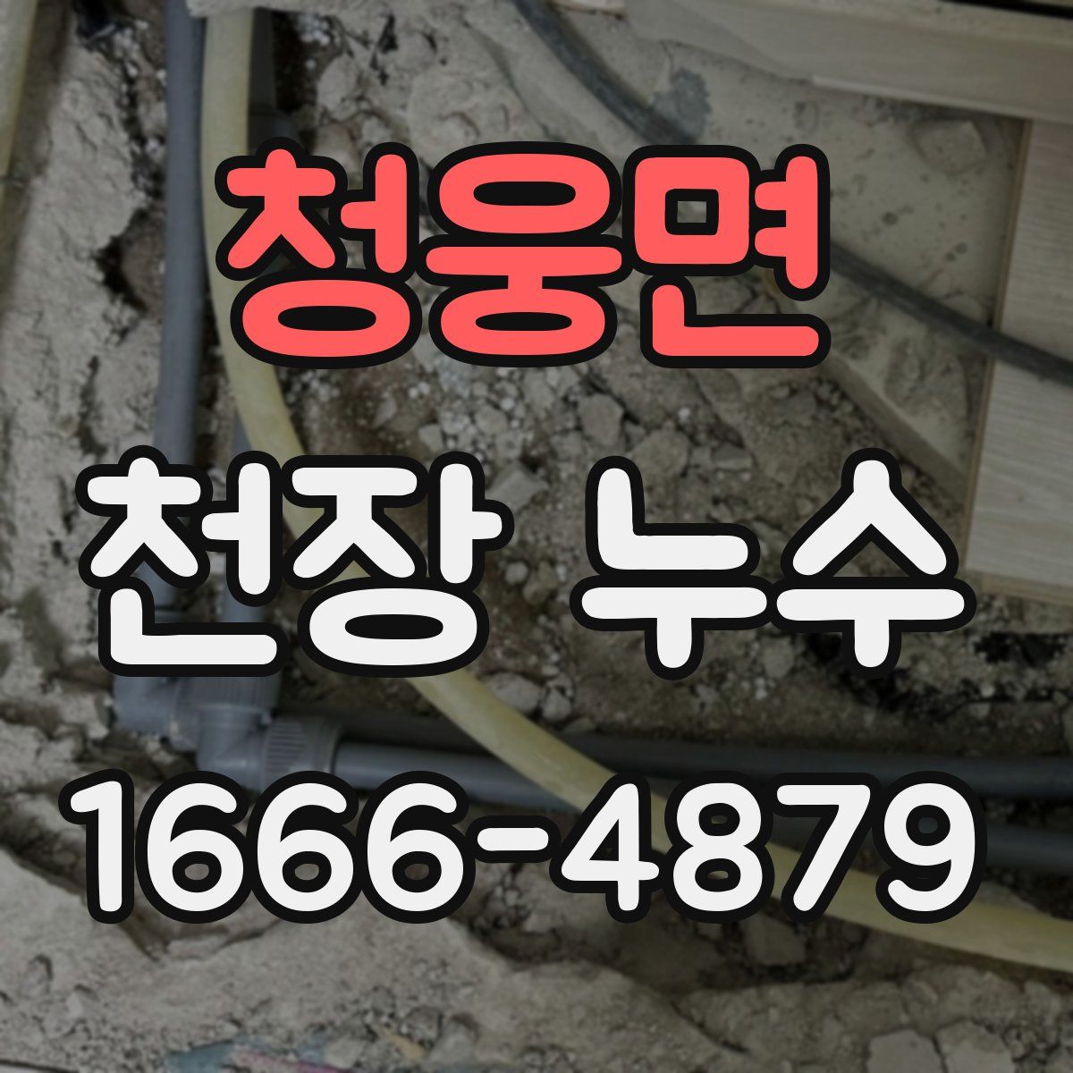 청웅면 천장 누수