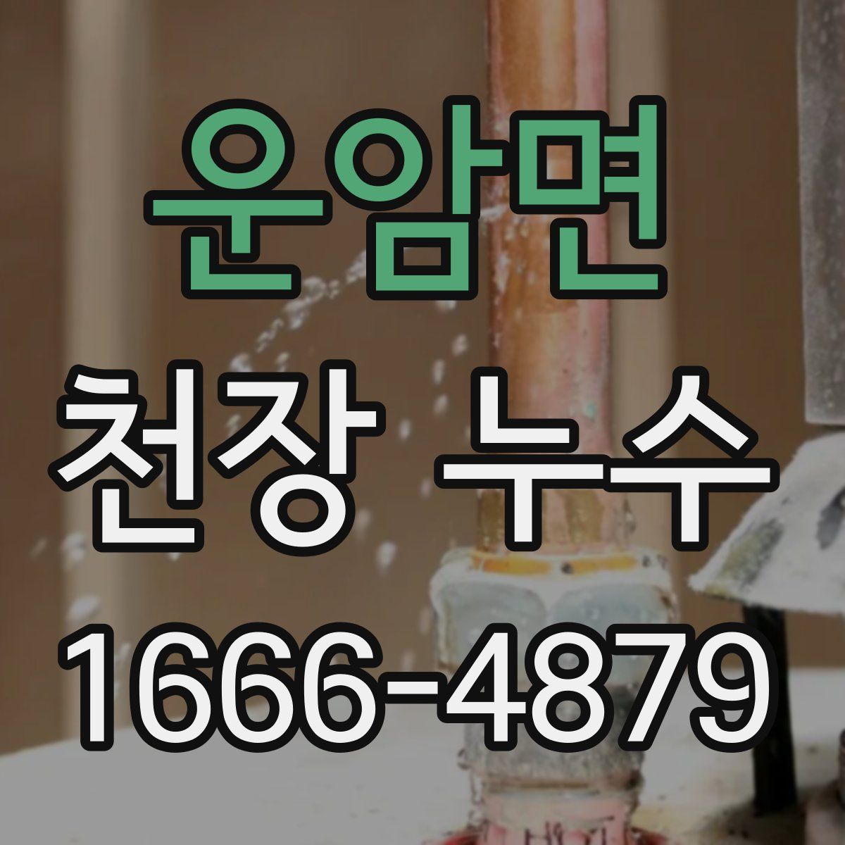 운암면 천장 누수