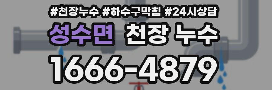 성수면 천장 누수