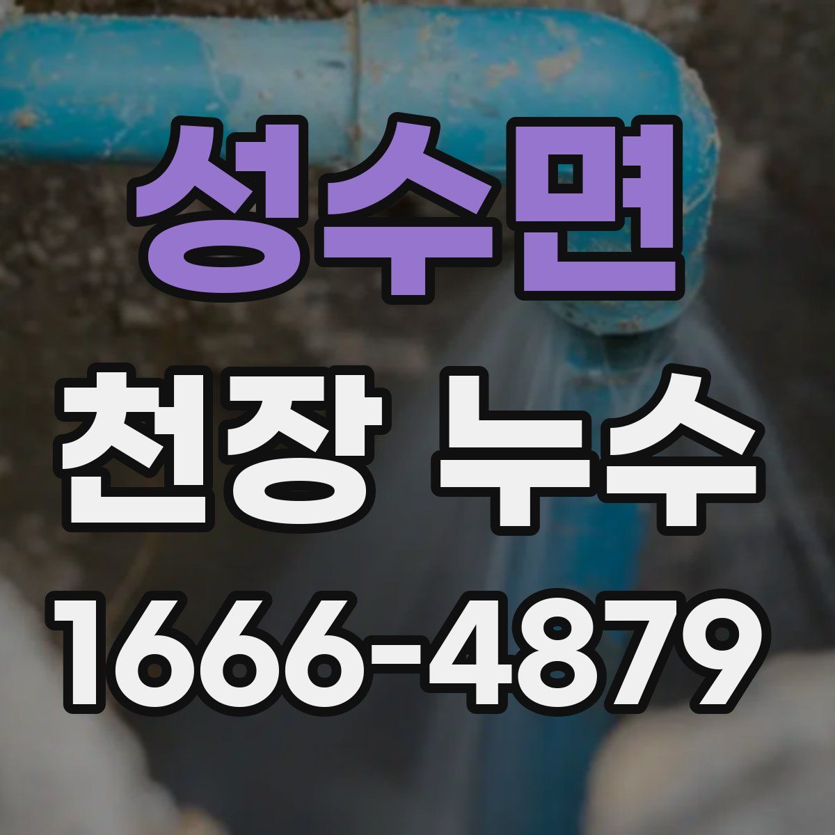 성수면 천장 누수