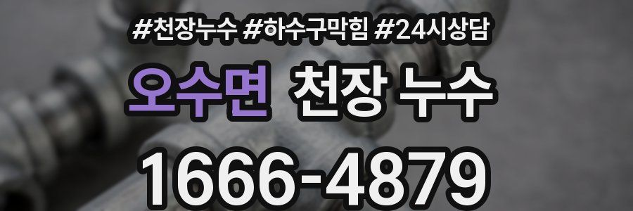 오수면 천장 누수