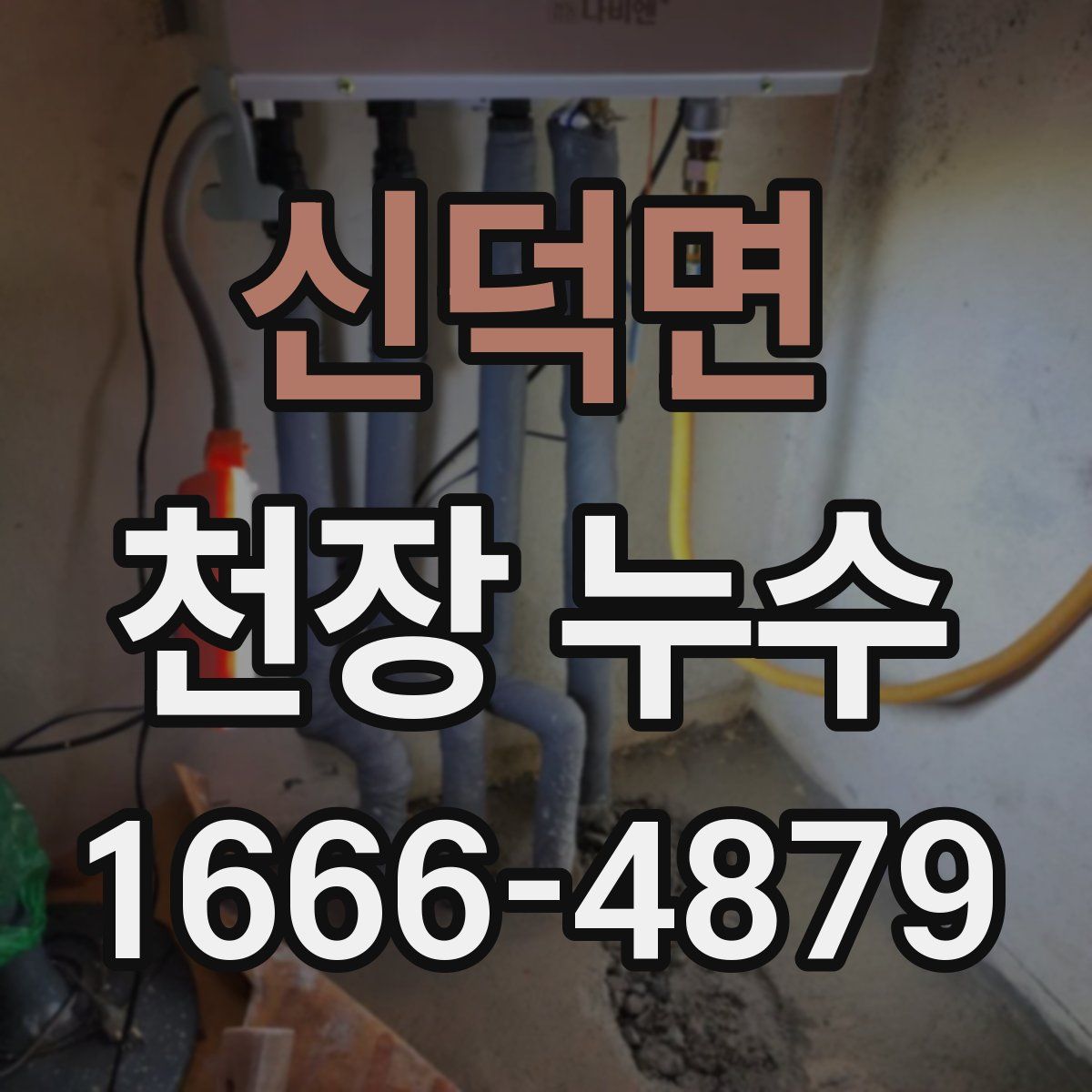 신덕면 천장 누수