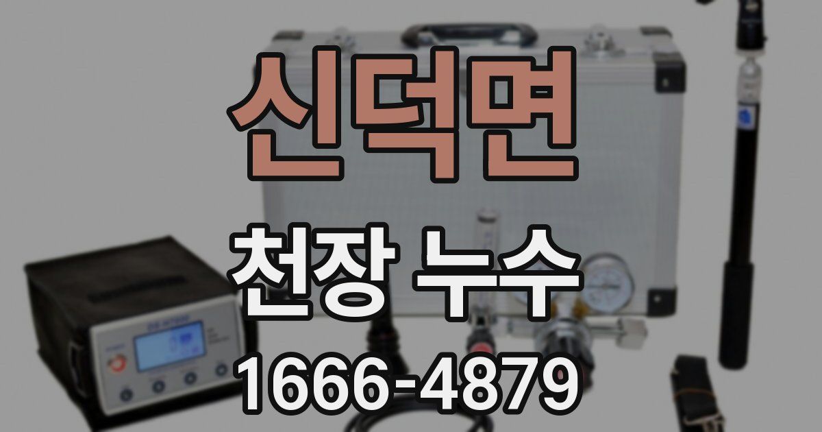 신덕면 천장 누수
