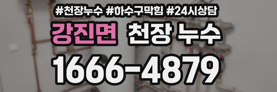 강진면 천장 누수