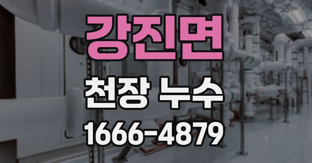 강진면 천장 누수