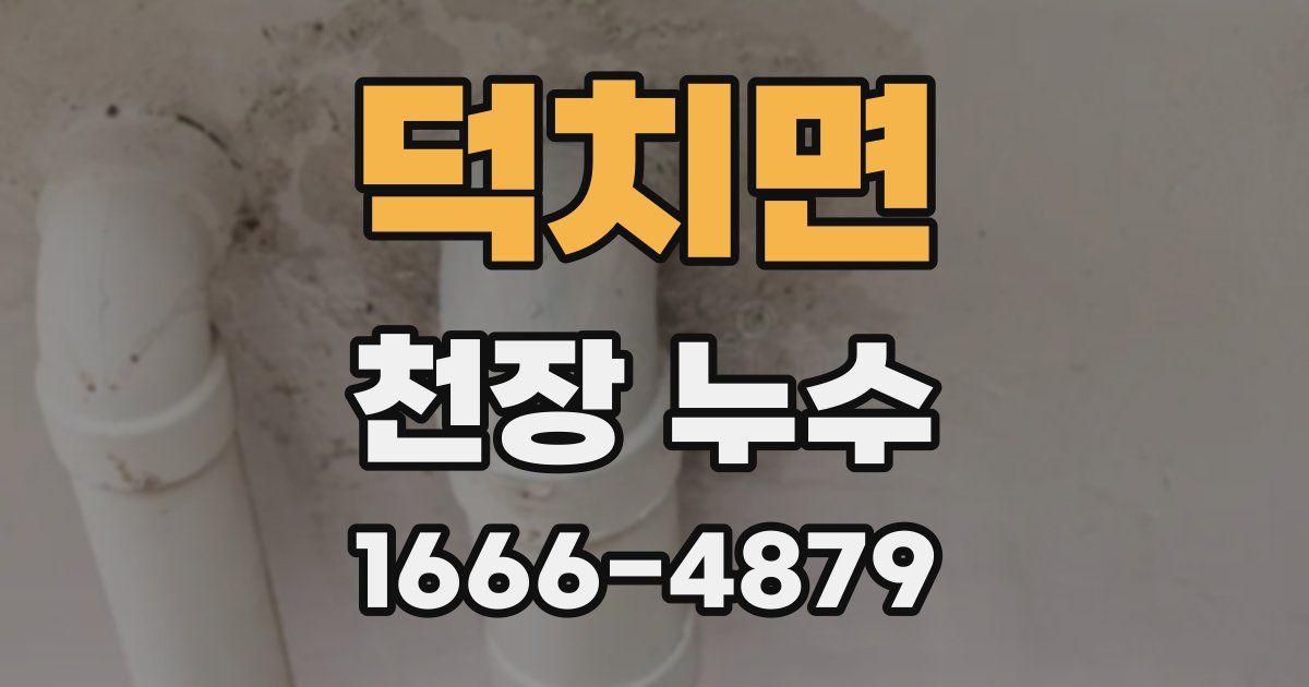 덕치면 천장 누수