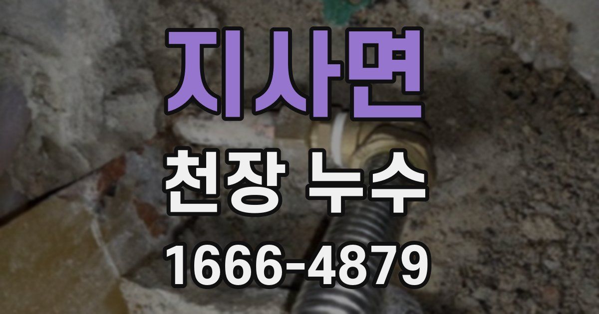 지사면 천장 누수