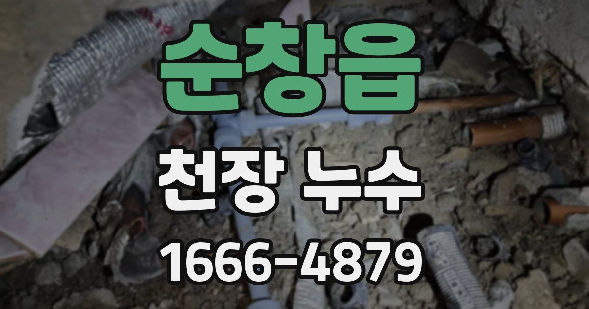 순창읍 천장 누수