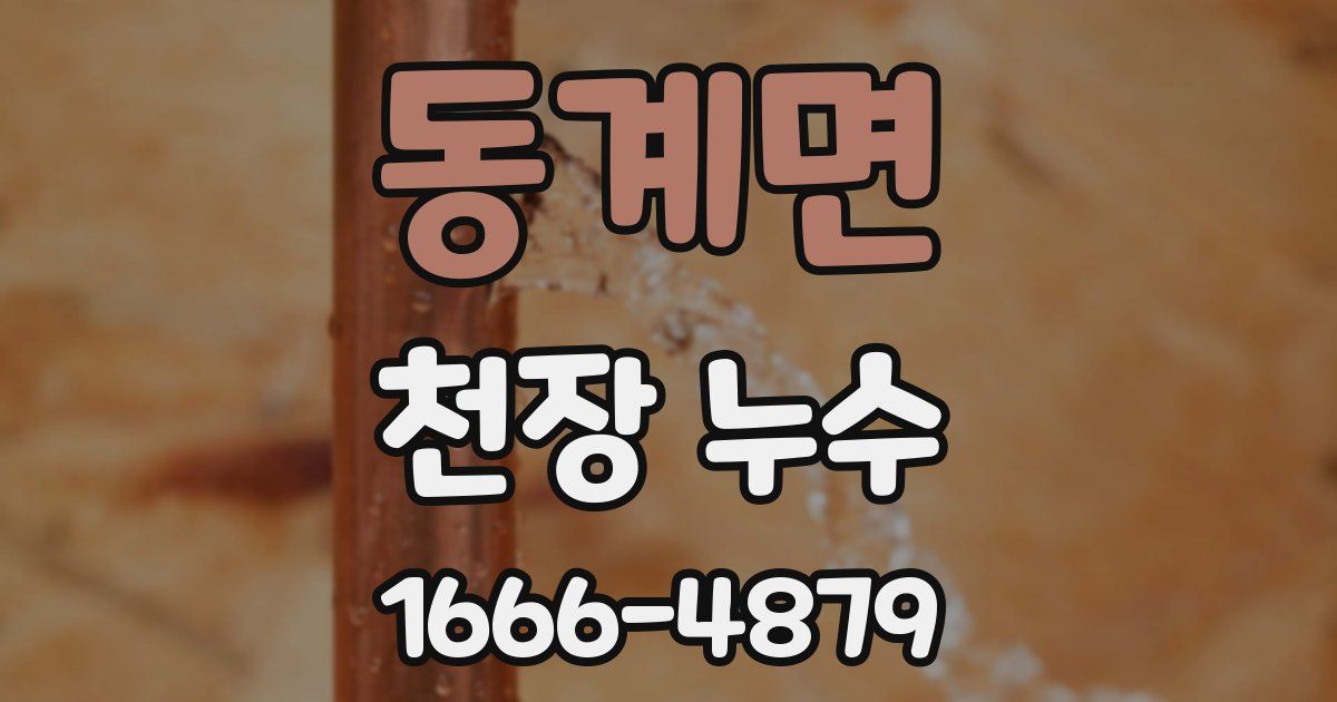 동계면 천장 누수