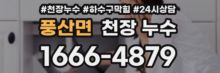 풍산면 천장 누수