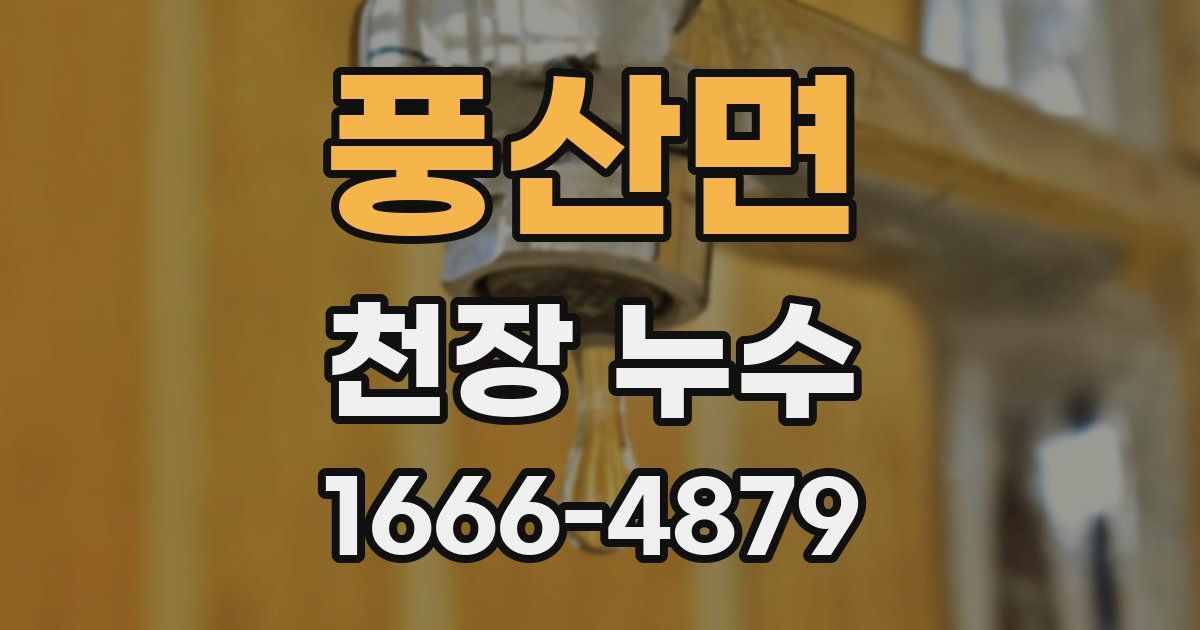 풍산면 천장 누수