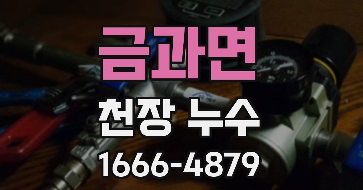 금과면 천장 누수