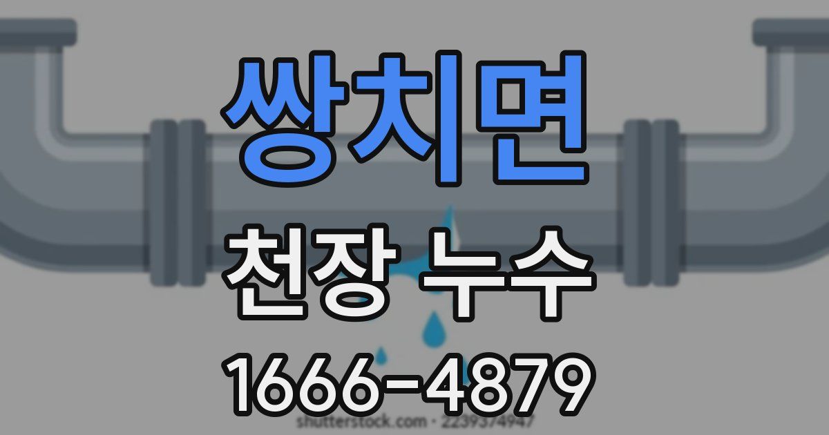 쌍치면 천장 누수