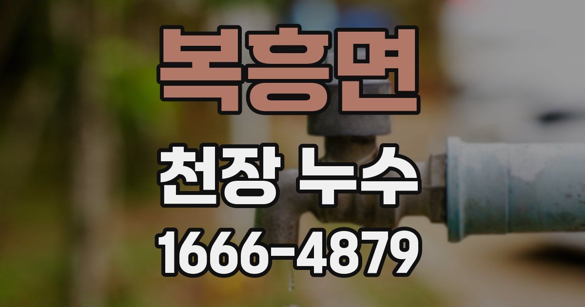 복흥면 천장 누수