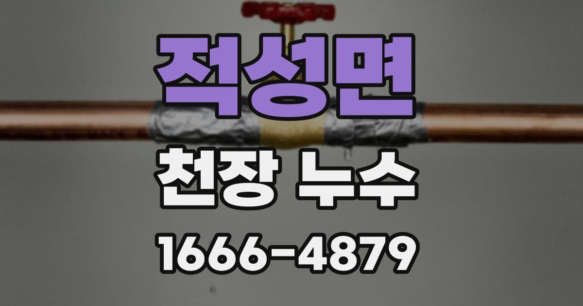 적성면 천장 누수