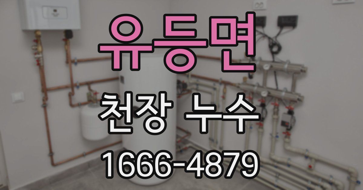 유등면 천장 누수