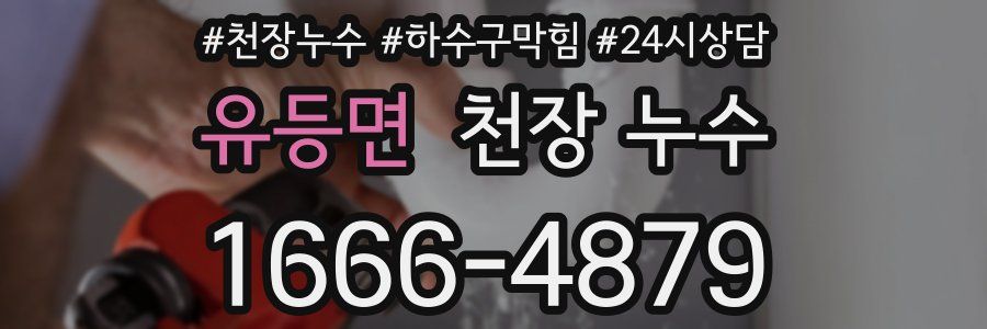 유등면 천장 누수