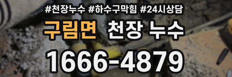 구림면 천장 누수