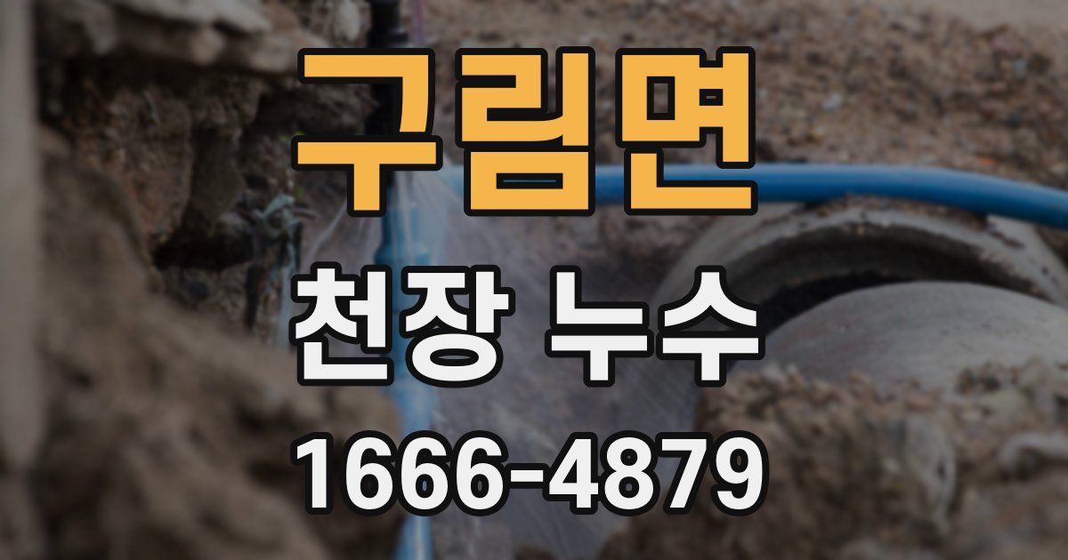 구림면 천장 누수