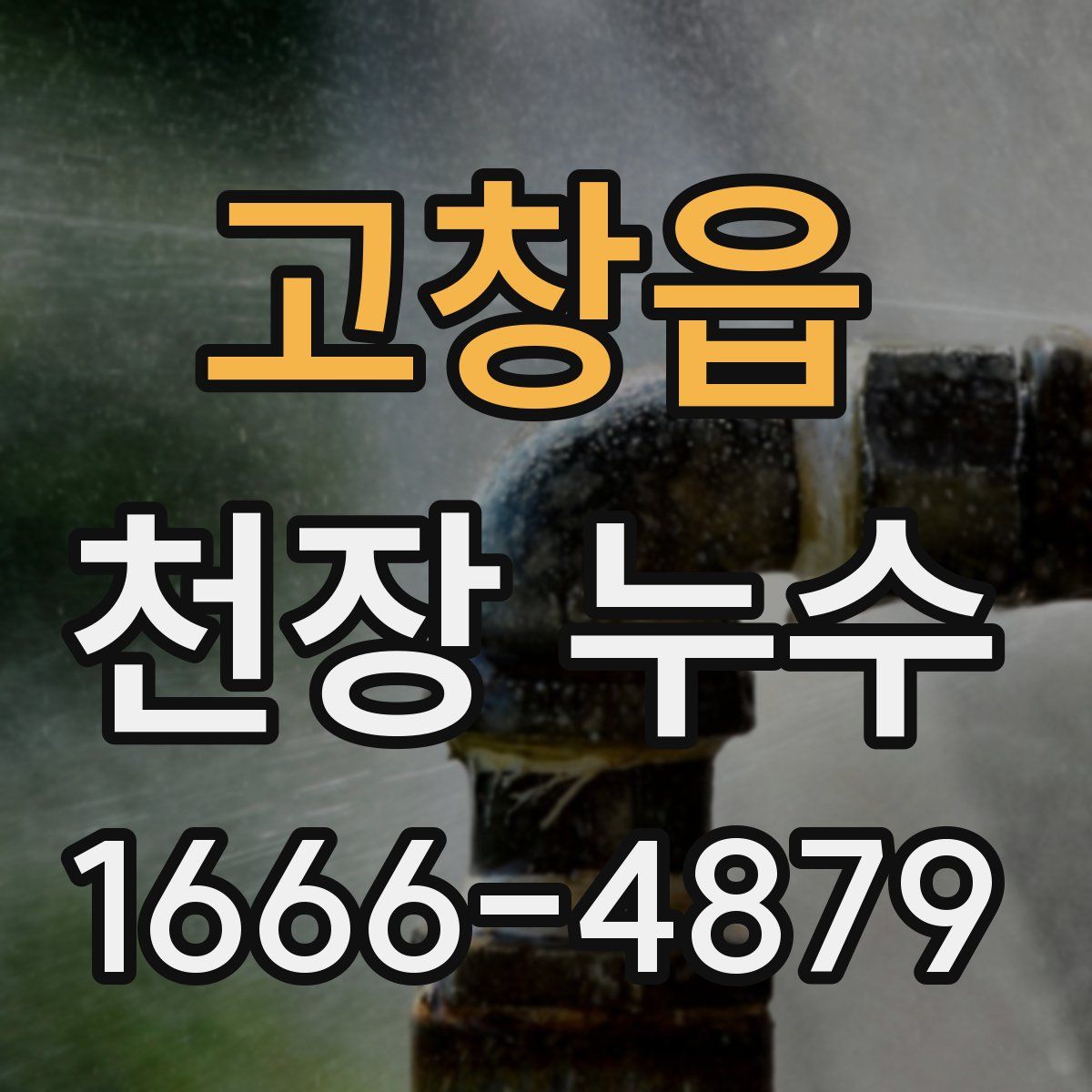 고창읍 천장 누수