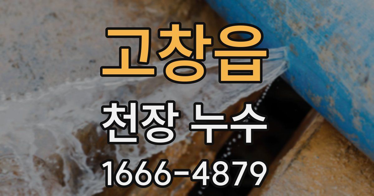 고창읍 천장 누수