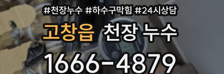 고창읍 천장 누수