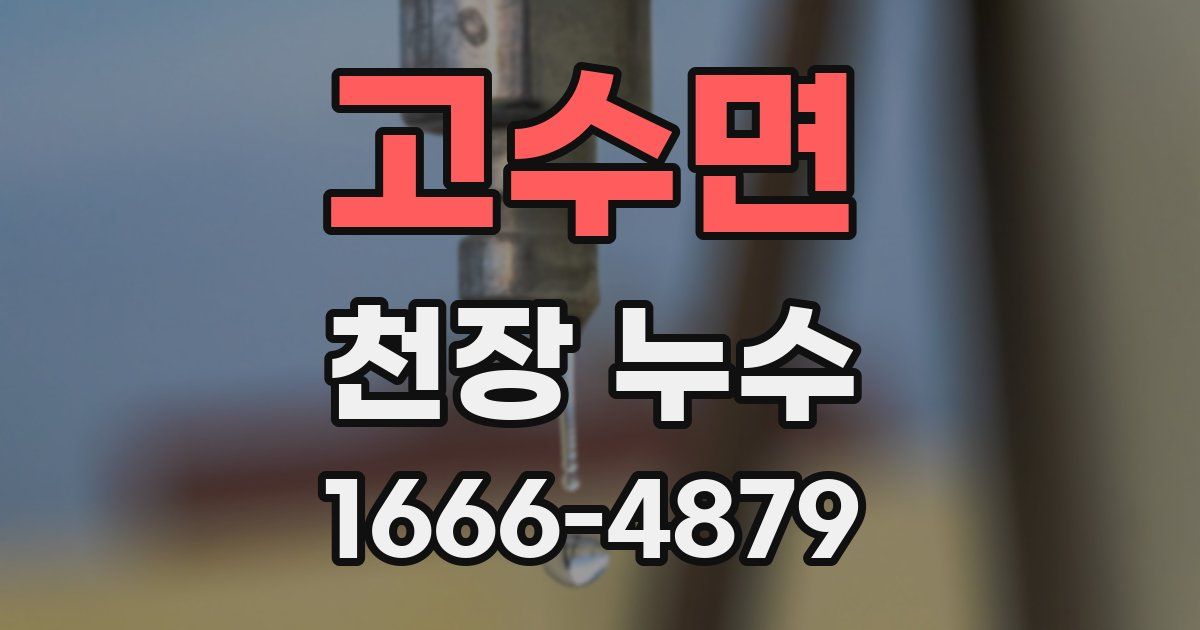 고수면 천장 누수