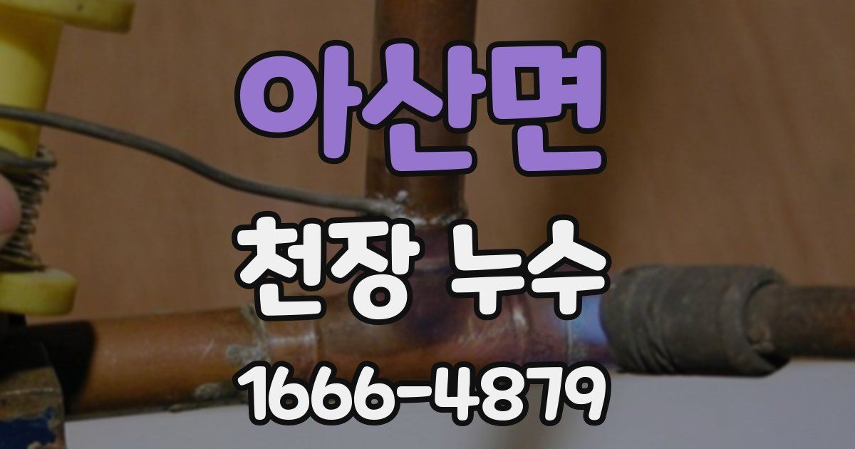 아산면 천장 누수