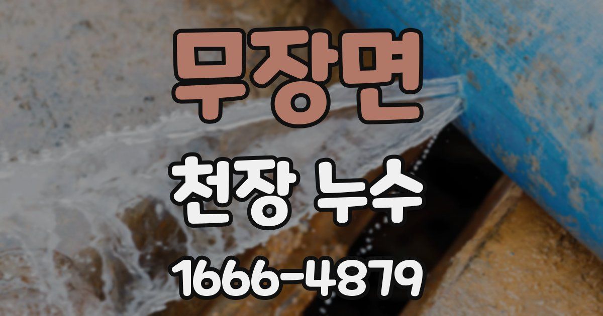 무장면 천장 누수