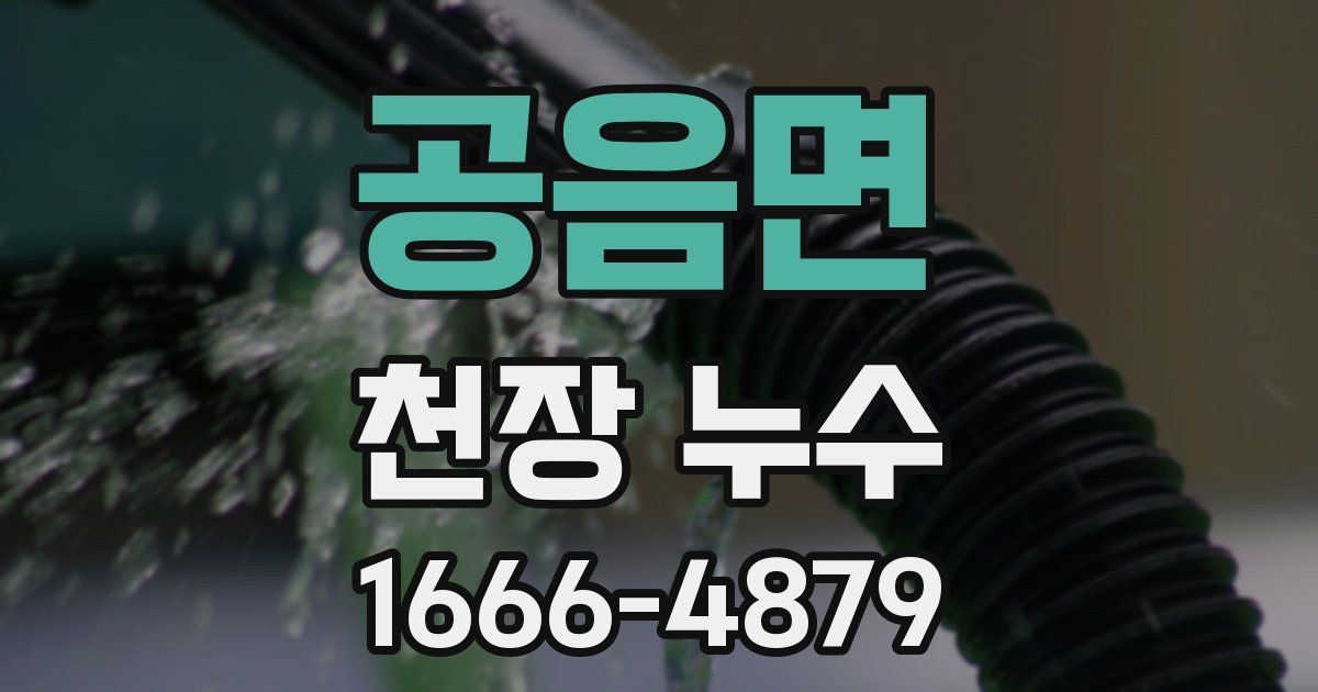 공음면 천장 누수