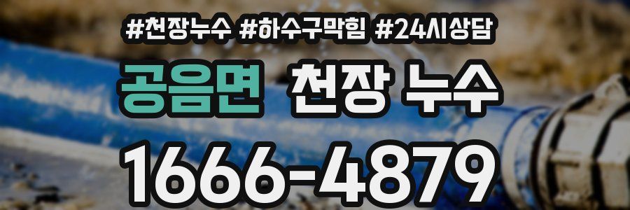 공음면 천장 누수