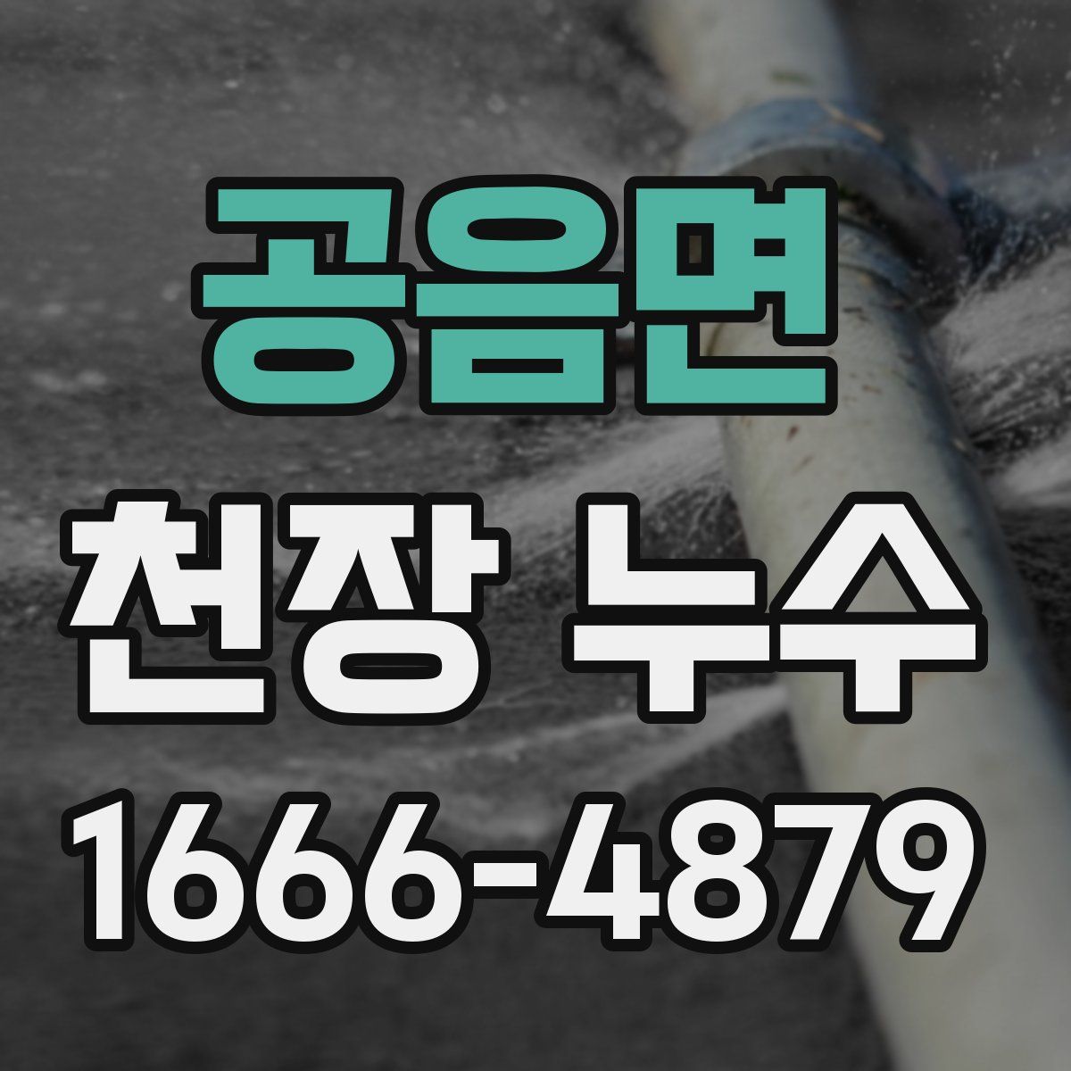 공음면 천장 누수