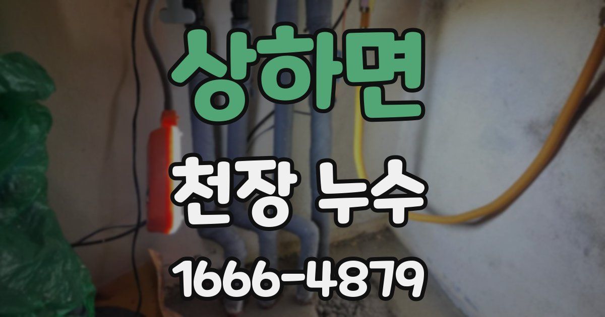 상하면 천장 누수