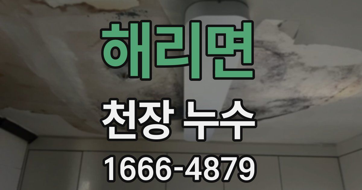 해리면 천장 누수